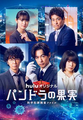 宜良网站优化建设方案